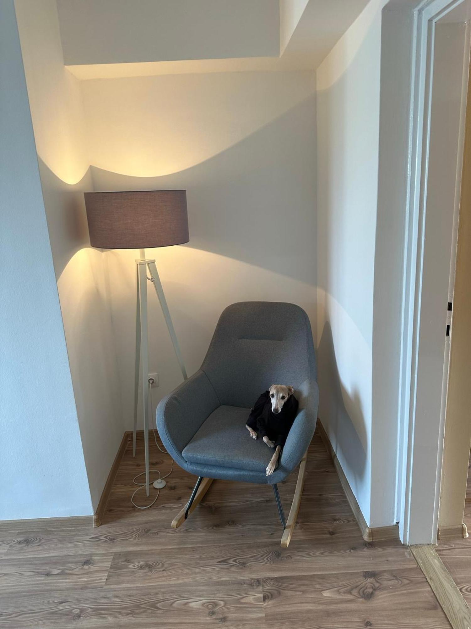 Home Sweet Apartment Xl Bük 外观 照片